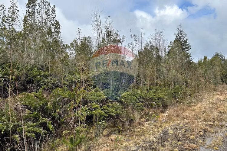 Vende parcela 5.000 m2/rio blanco/ensenada