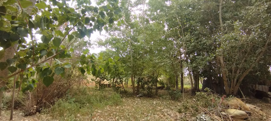 EN VENTA HERMOSA PARCELA EN SECTOR ORO VERDE