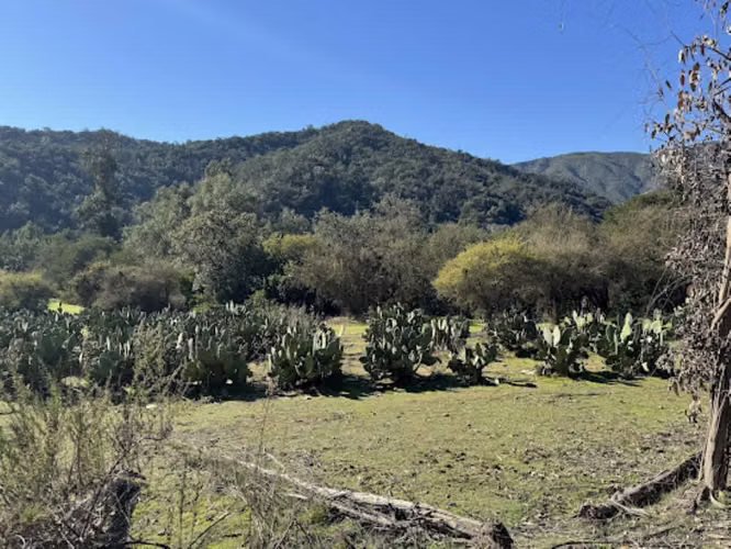 Venta de Parcela Agricola Sector Los Perales Quilpue