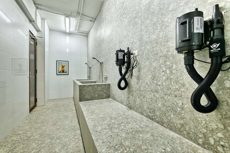 Vicuña Urban [1322-1] - Imagen 28