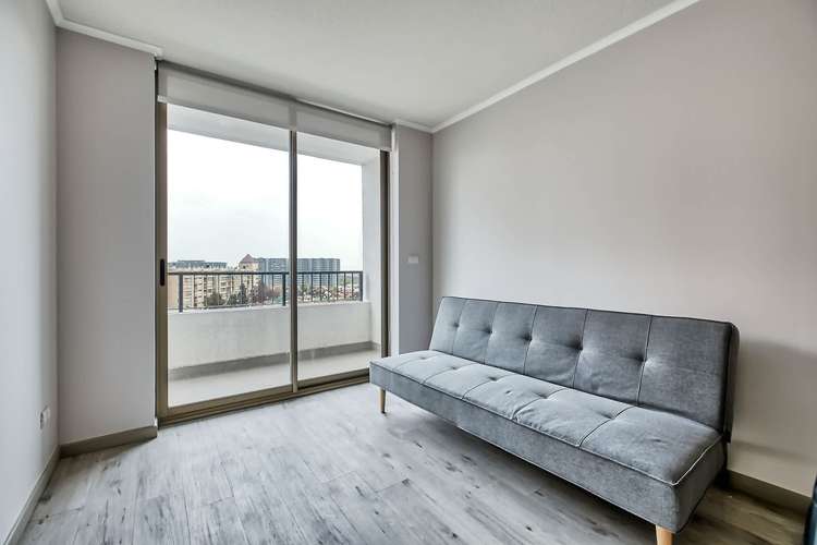 Vicuña Urban [1322-1]