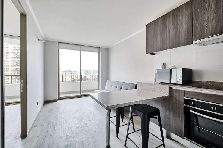 Vicuña Urban [1322-1] - Imagen 2