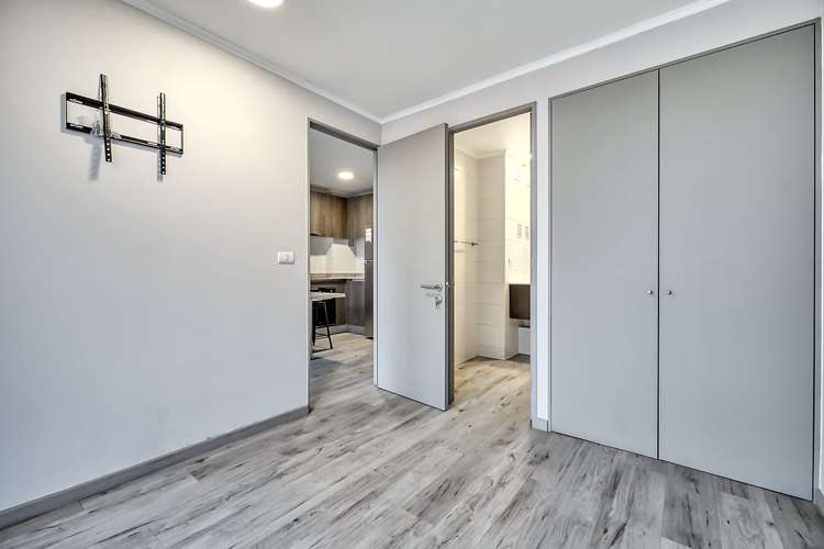 Vicuña Urban [1322-1] - Imagen 5
