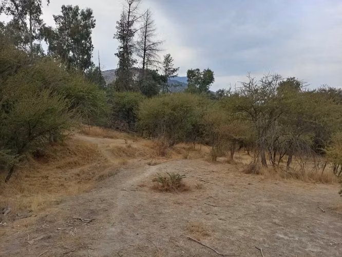Doñihue, Sector Cerro El Cólera