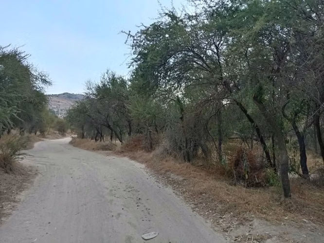 Doñihue, Sector Cerro El Cólera