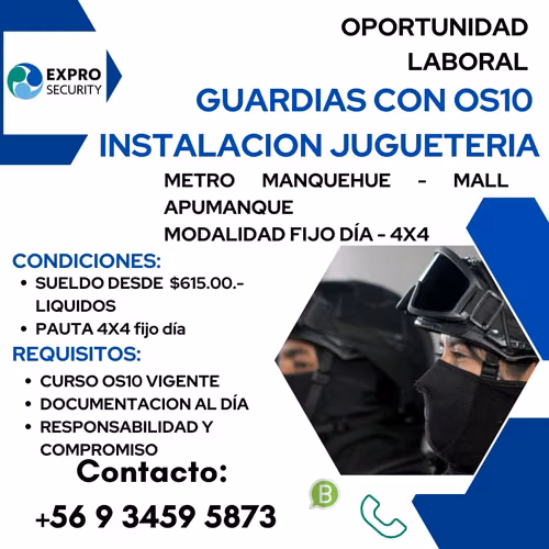 Guardia de seguridad jugueteria apumanque 4x4 fijo dia
