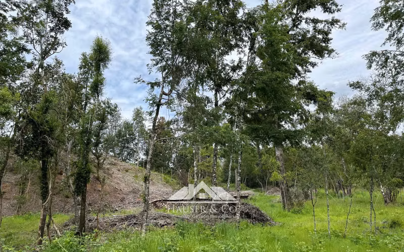 Parcela en Venta en Villarrica con acceso a Río Voipir