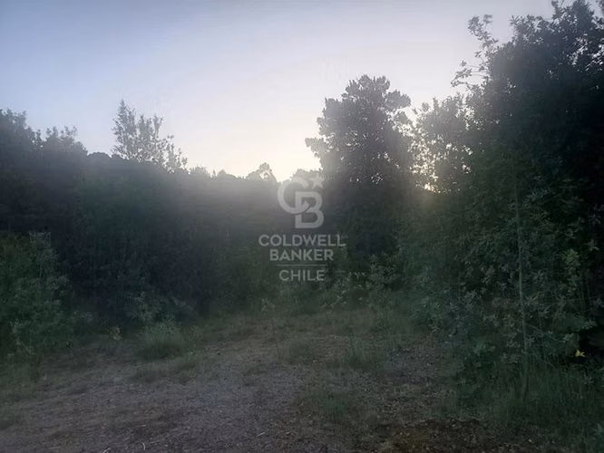 Terreno Chinquihue: Ideal para uso comercial o industrial