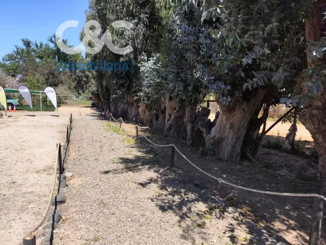 5000 Mt2 Planos En El Rincón De Peña Blanca