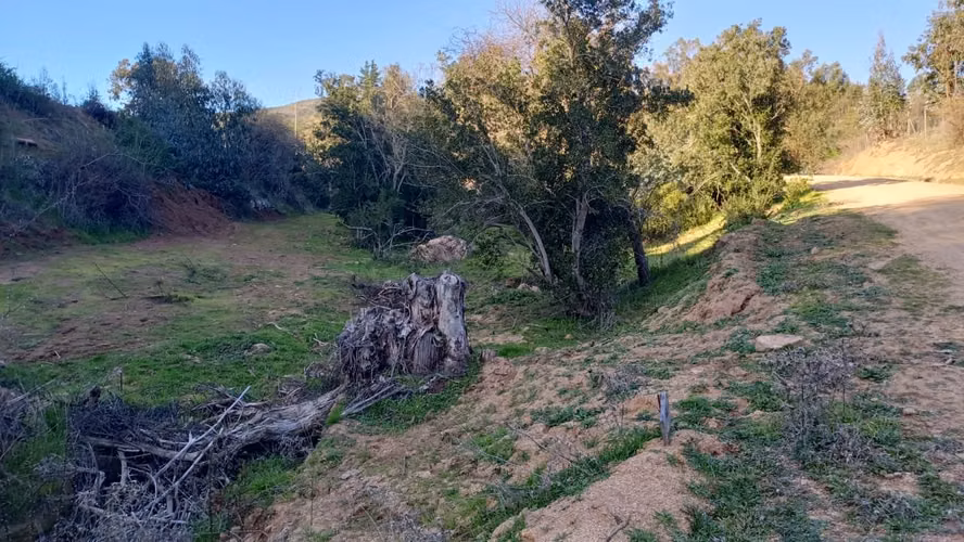 Parcela Plana en Santa Julia del Lago Rapel - Imagen 17