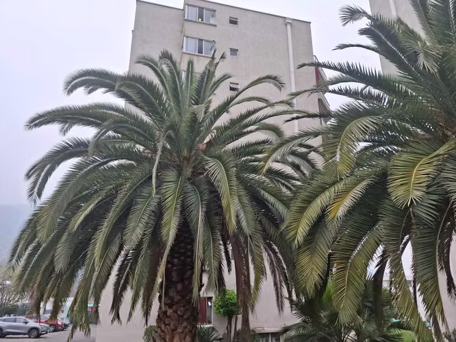 Huechuraba - aire puro, hermoso (116347) - Imagen 4