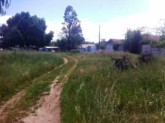 Cauquenes camino a la costa terreno 4 has (116360)