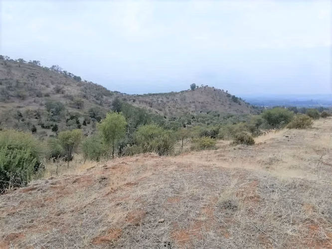 Talca Pencahue inversión ideal subdivisión (116368)