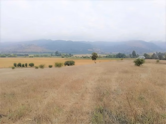 Talca Pencahue inversión ideal subdivisión (116368)