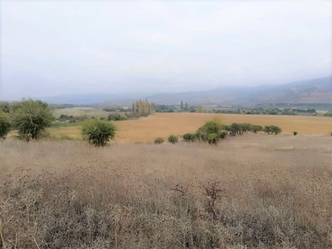 Talca Pencahue inversión ideal subdivisión (116368)