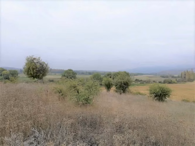Talca Pencahue inversión ideal subdivisión (116368)