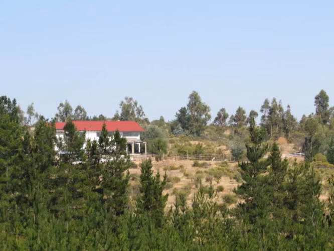 Cauquenes 97has, 3 Tranques acumuladores (116369)