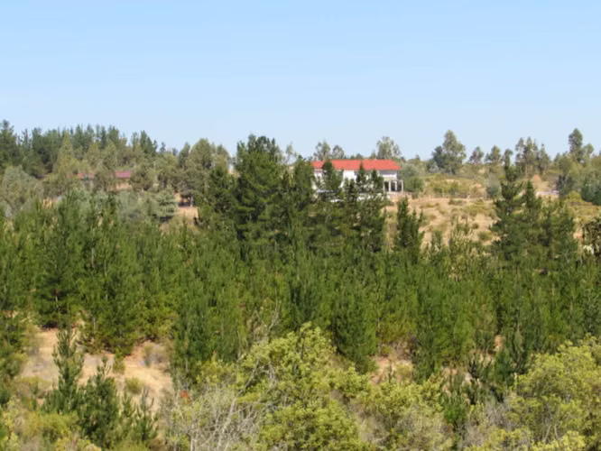 Cauquenes 97has, 3 Tranques acumuladores (116369)