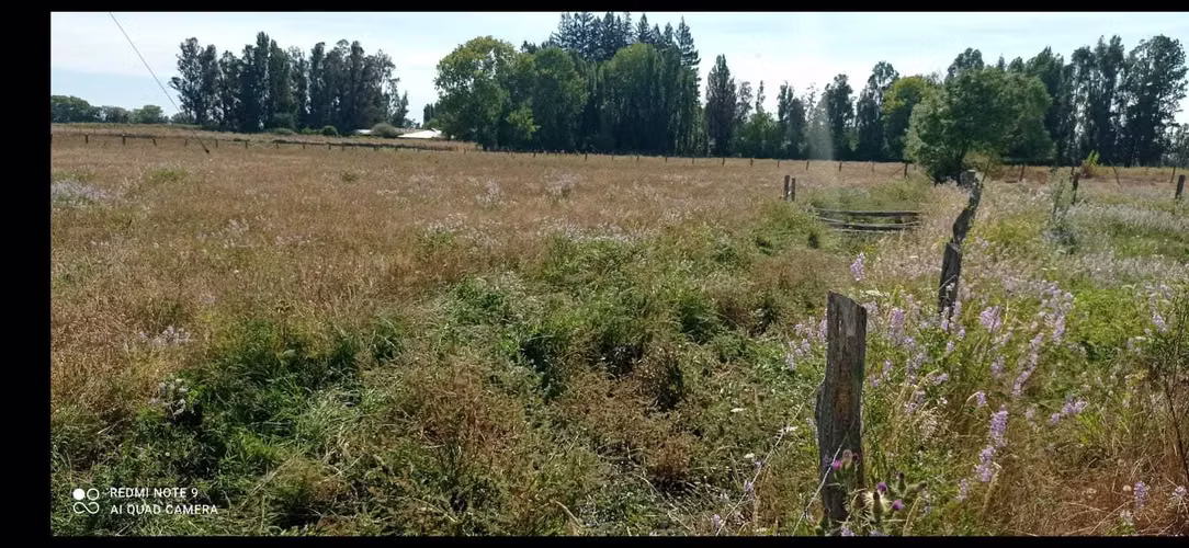 Parcela con agua y rol propio en San Gregorio (116384)