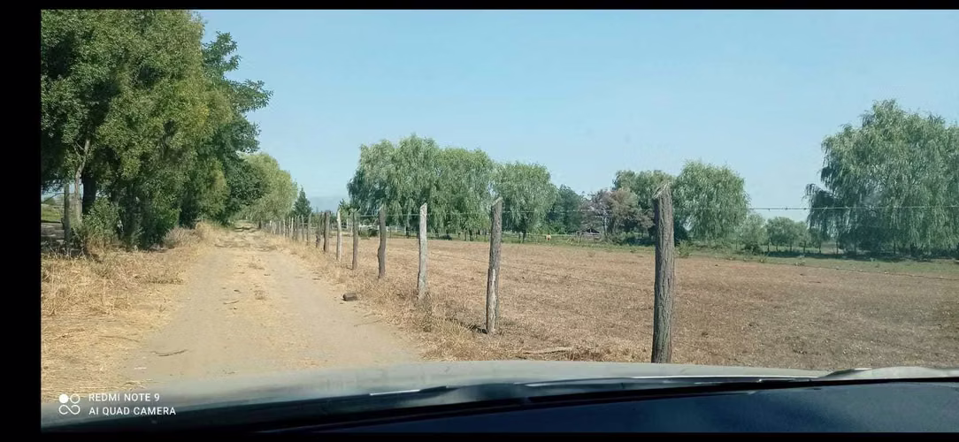 Parcela con agua y rol propio en San Gregorio (116384) - Imagen 6