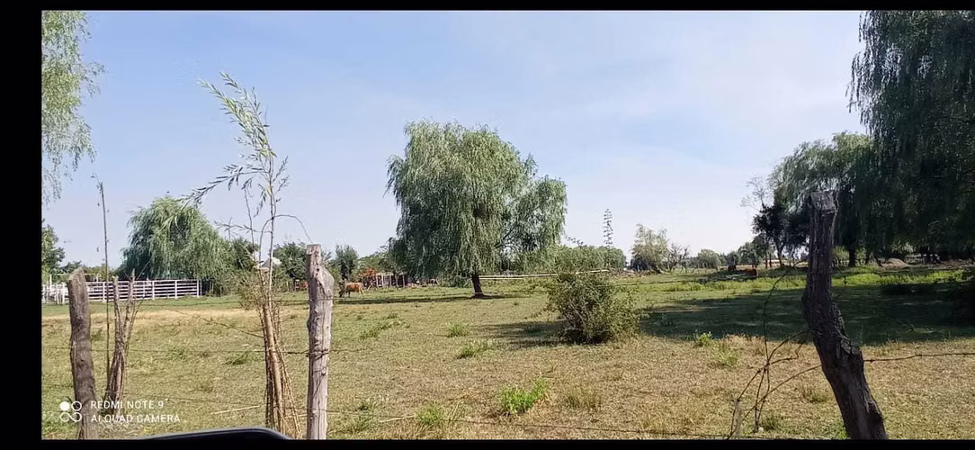 Parcela con agua y rol propio en San Gregorio (116384) - Imagen 2