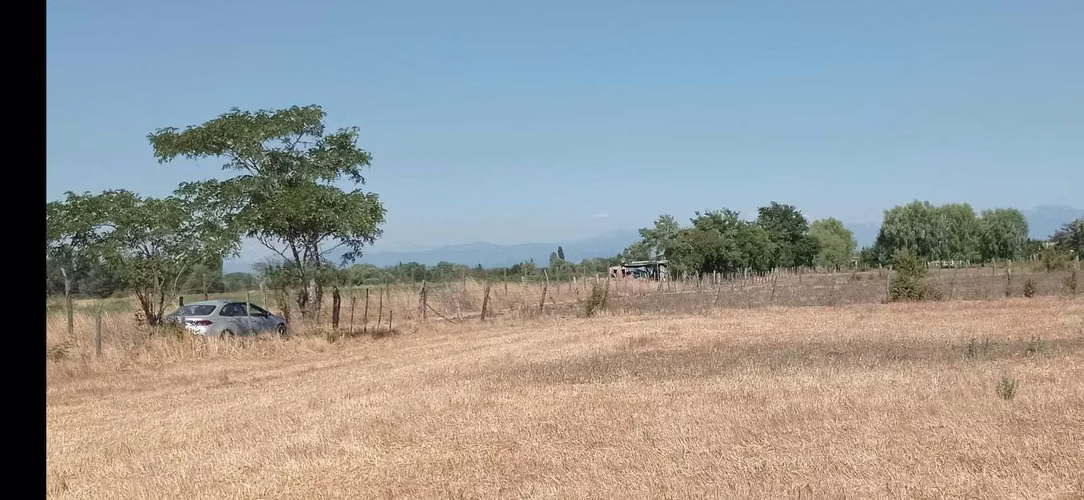 Parcela con agua y rol propio en San Gregorio (116384) - Imagen 5