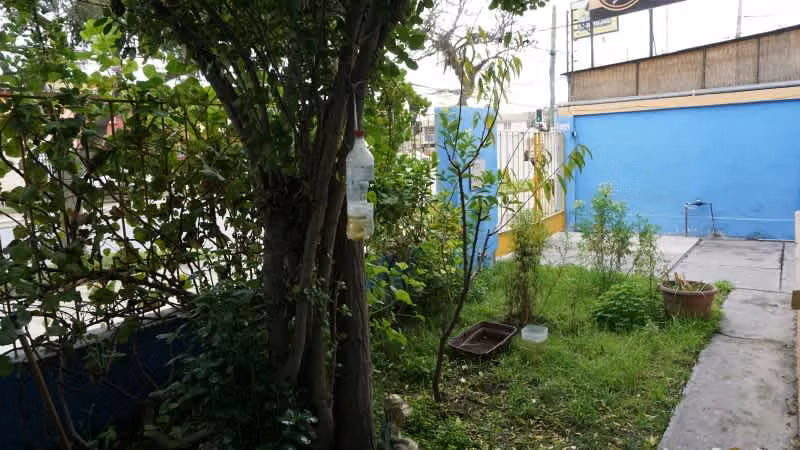 Casa AVENIDA ALESSANDRI FRENTE A LA ESCUELA CARDENAL CARO