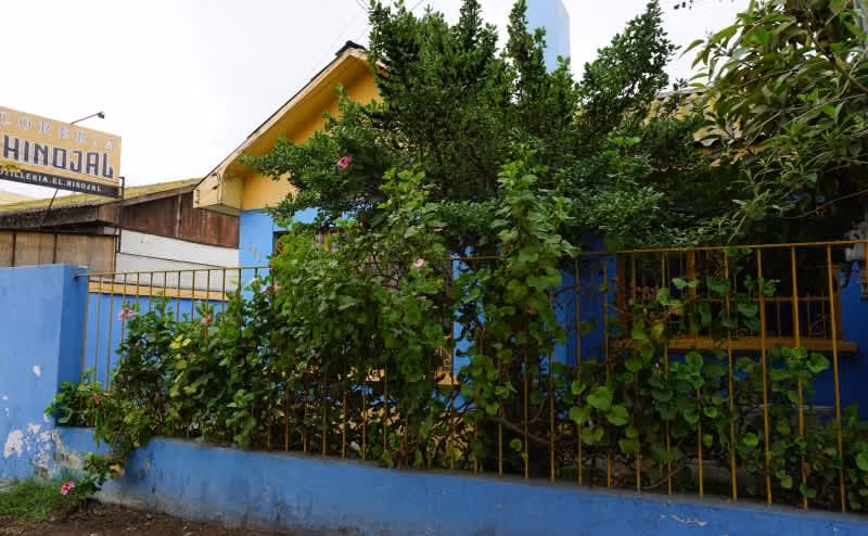 Casa AVENIDA ALESSANDRI FRENTE A LA ESCUELA CARDENAL CARO