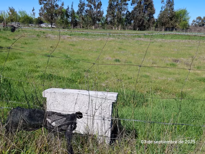 EN VENTA HERMOSA PARCELA EN ORO VERDE SECTOR VEGA DE REYES