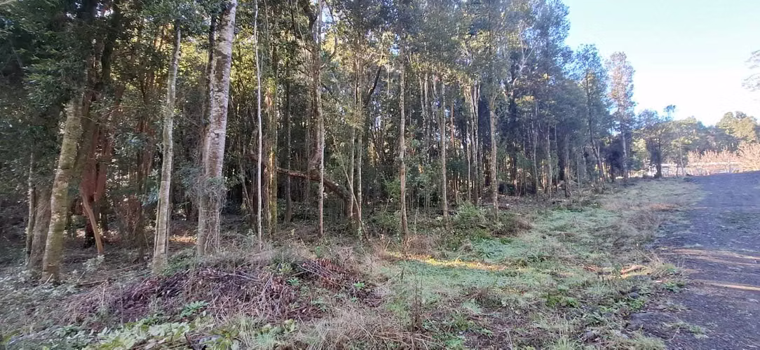 parcela 5.000 m2 Puerto Varas (116442)