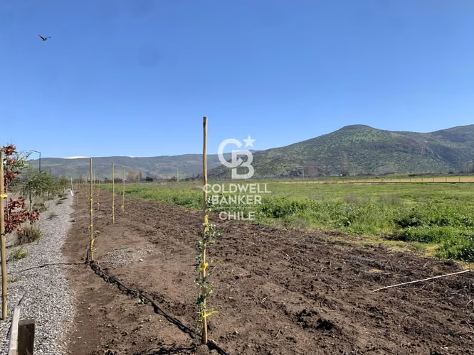 Parcela en Campo de Polo San Miguel - Colina