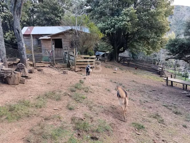 Campo de 33 Hectáreas - Imagen 11