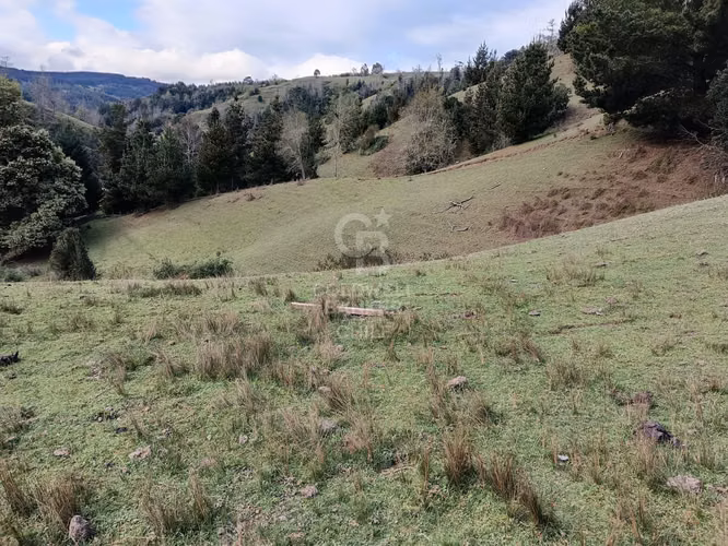 Campo de 33 Hectáreas - Imagen 9