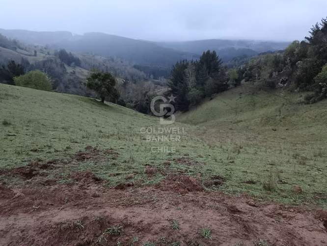 Campo de 33 Hectáreas - Imagen 13