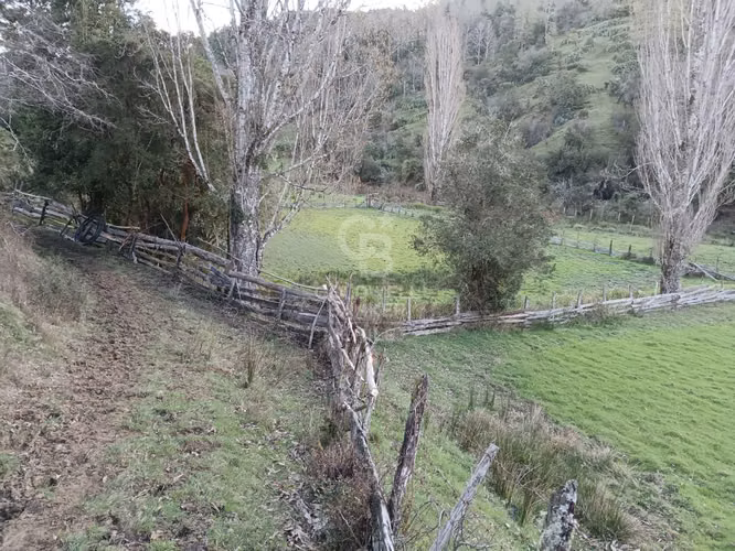 Campo de 33 Hectáreas - Imagen 7