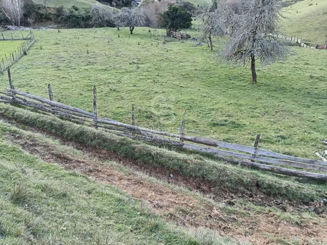 Campo de 33 Hectáreas - Imagen 6