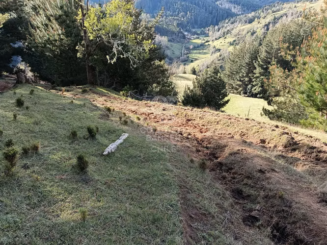 Se Vende Campo de 33 Hectáreas