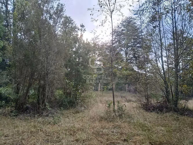 Rebajada a 15 minutos de Puerto Varas
