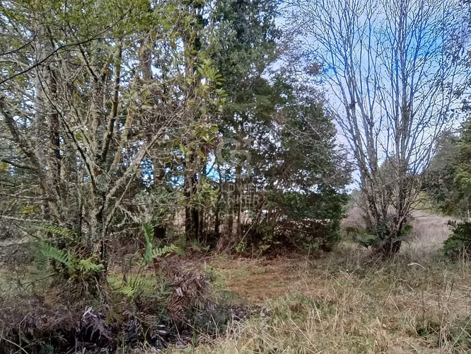 Rebajada a 15 minutos de Puerto Varas
