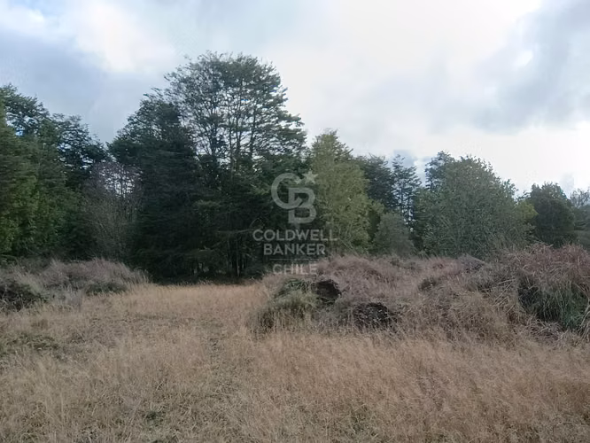 Rebajada a 15 minutos de Puerto Varas