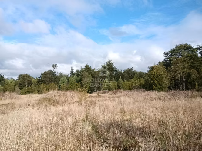 Rebajada a 15 minutos de Puerto Varas