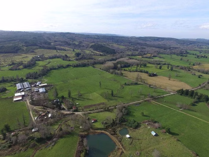 FUNDO RIO BLANCO, SECTOR PURRANQUE  (116534)