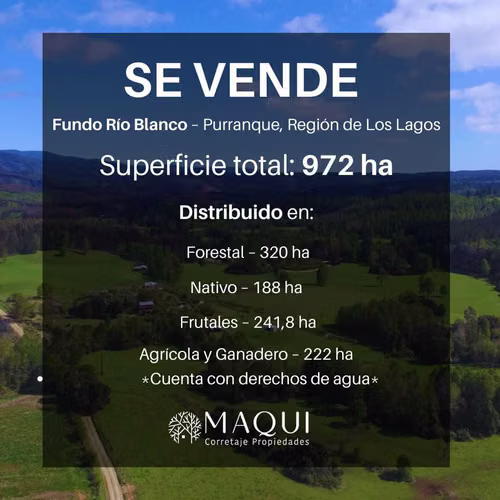 FUNDO RIO BLANCO, SECTOR PURRANQUE  (116534)