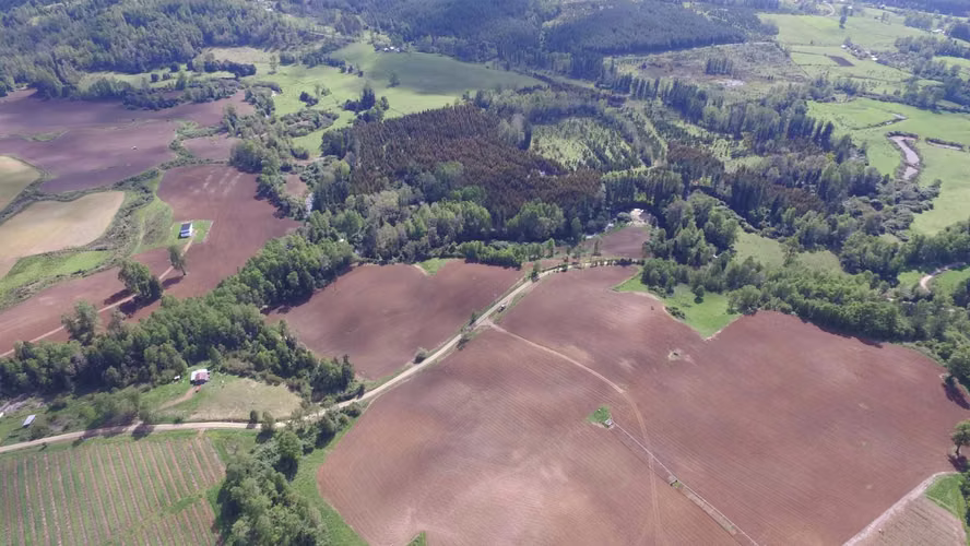 FUNDO RIO BLANCO, SECTOR PURRANQUE  (116534)