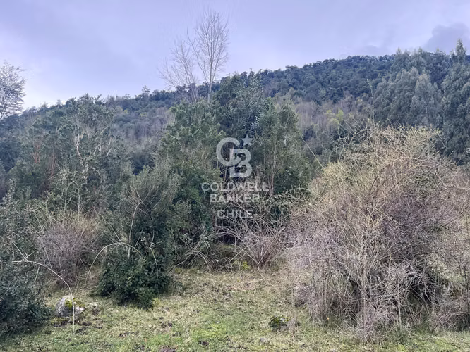 Terreno con Vista al Lago Ranco.