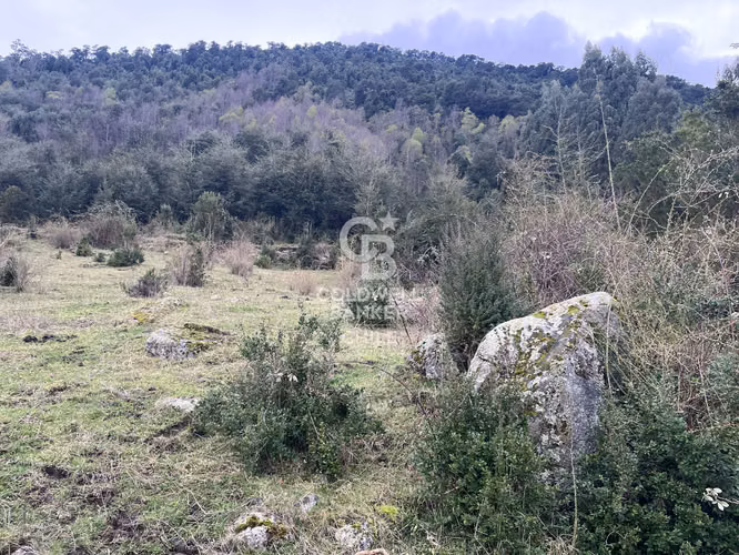 Terreno con Vista al Lago Ranco.