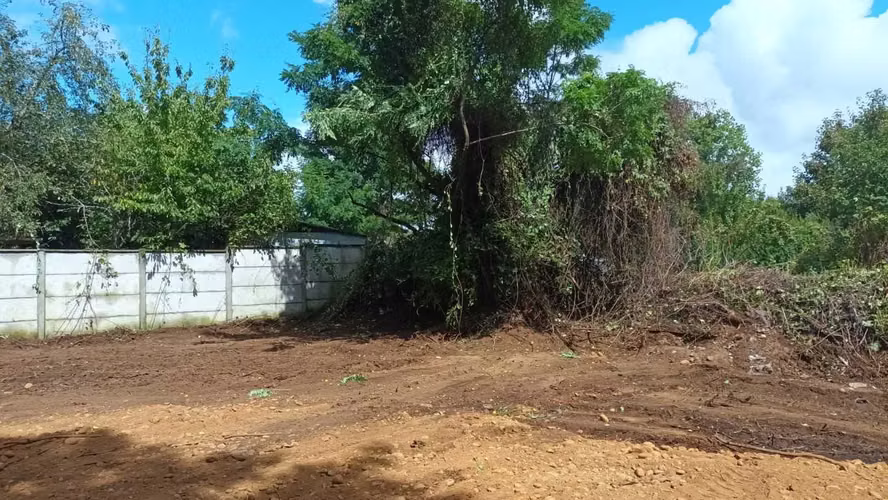 TERRENO URBANO, SECTOR CENTRO DE OSORNO (116556)