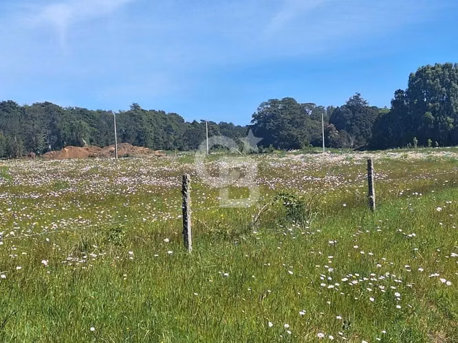 Exclusivos terrenos a 4 km de P. Octay - Sin comisión!!
