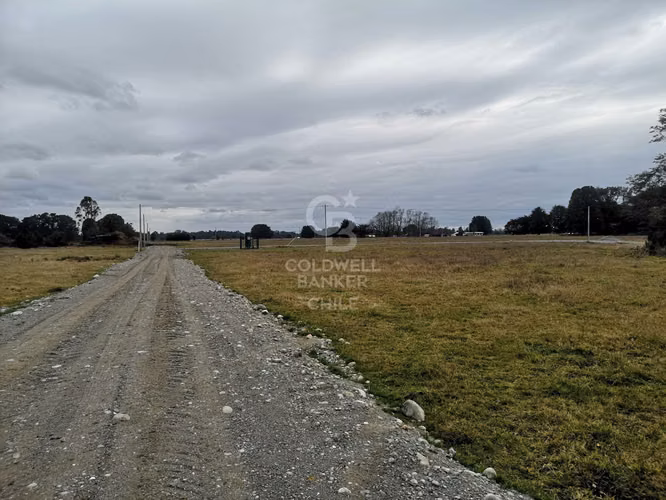 Exclusivos terrenos a 4 km de P. Octay - Sin comisión!!