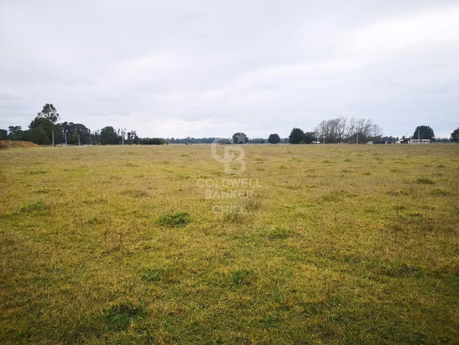 Exclusivos terrenos a 4 km de P. Octay - Sin comisión!!